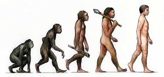 биологическая эволюция